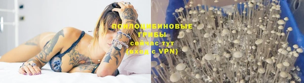 прущие грибы Алексеевка