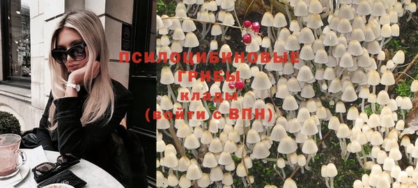 прущие грибы Алексеевка