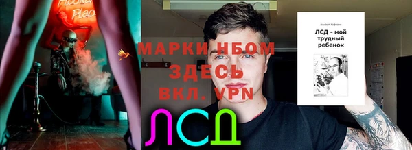 прущие грибы Алексеевка